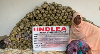 NDLEA uncovers 442 parcels of Mkpuru Mmiri in heads of smoked fish in Lagos