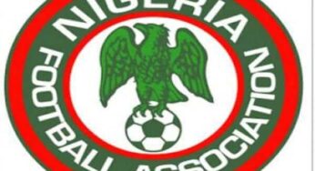 NFF told to appoint new coach for Super Eagles ahead of World Cup