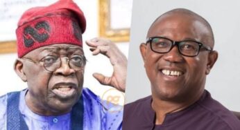 You are not my doctor, I am fit to rule Nigeria – Tinubu fires back at Peter Obi 