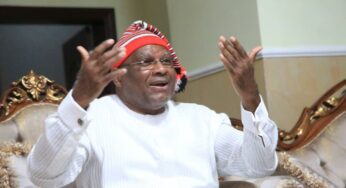 2023: Why Nigerians should vote Tinubu as president – PDP’s Chimaroke Nnama­ni