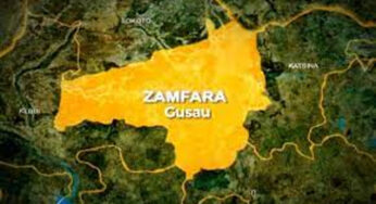 Tragedy in Danbaza as seven family members die of food poisoning