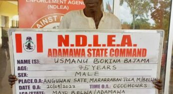 75-year-old grandpa, 21 others arrested with illicit drugs