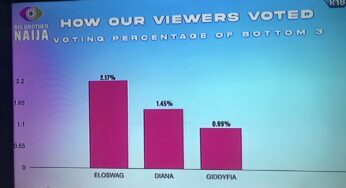 BBNaija: How Nigerians voted for Diana, Giddyfia, others emerge