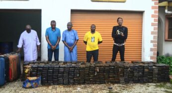 NDLEA raids cocaine warehouse, seizes N193billion worth of crack in Lagos, arrests 4 drug barons, 1 other