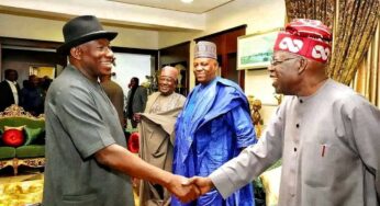 Tinubu under fire for visiting Jonathan