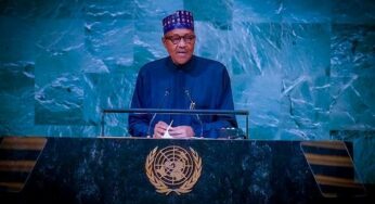 Buhari govt issues travel advisory to Nigerians traveling abroad