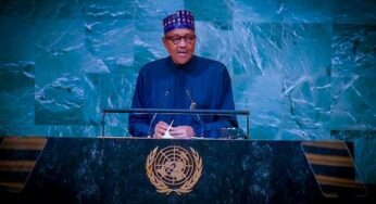 I feel more freer when I have nothing – Buhari