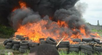 NDLEA burns seized cocaine worth N194bn in Ikorodu (Photos)