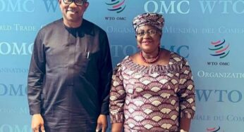 What Peter Obi said after meeting Okonjo-Iweala in Switzerland