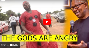 Chief Priest delivers message from the gods about Peter Obi (Video)