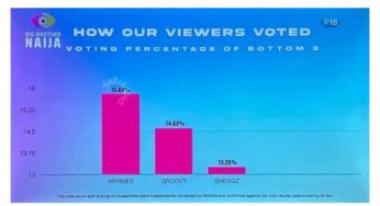 How viewers voted for Groovy, Hermes and Sheggz for eviction