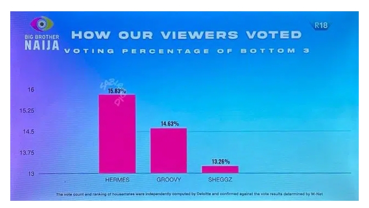 How viewers voted for Groovy, Hermes and Sheggz for eviction