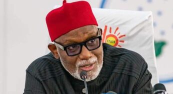 Muslim-Muslim ticket: Tinubu appoints Akeredolu Southwest campaign Coordinator