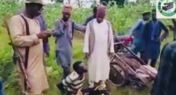 Drama as terrorists arrest thief, hand him over to security men in Buhari’s Kastina