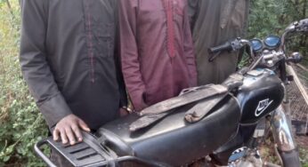 Notorious herdsmen, kidnap gang bursted in Ogun forest