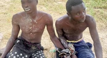 Troops neutralize terrorists, arrest two, rescue kidnap victims in Borno