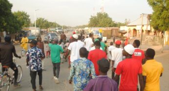 Peter Obi’s rally rocks Gwoza in Borno State (Video)