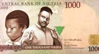 Portable, Pawpaw, Sabinus appear on mock redesigned naira notes (Photos)