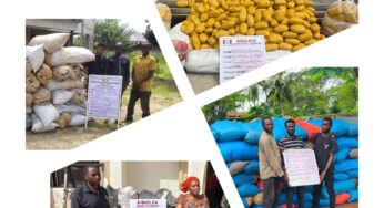 NDLEA arrests 4 wanted kingpins over 16 tons illicit drugs in Lagos, Abuja