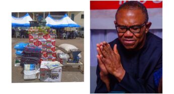 Buhari’s aide blast Peter Obi for donating 24 loaves of bread, grinding machine to Anambra flood victims