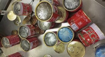 NDLEA intercepts 33.491kg Meth, Cocaine, Heroin packagaed inside Vego tin tomato