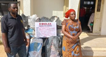 BREAKING: NDLEA arrest Pastor Effiong, Aderinde, others over 16 tons illicit drugs