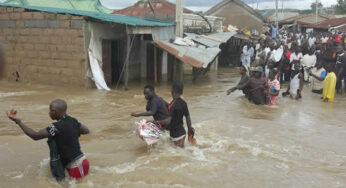 24 killed, 134,797 persons rendered homeless as flood wreaks havoc in Benue