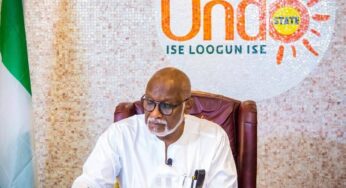 Afenifere blast Akeredolu over statement on Peter Obi