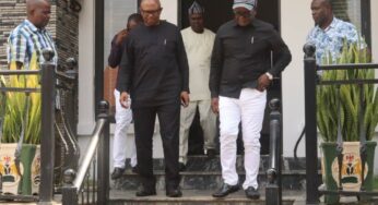 Why visited Gov Ortom of Benue – Peter Obi