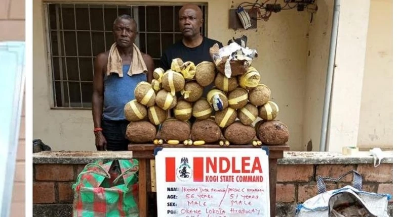 NDLEA intercepts hard drugs weighing 46.637 kilograms in Enugu, Kogi, five other states