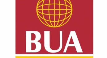 Kogi govt moves to revoke 50,000-hectares of land acquired by BUA