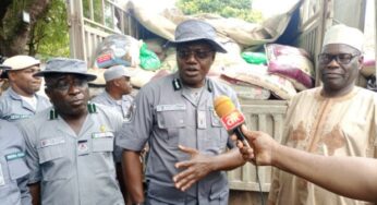 Dangote trucks, 21 others loaded with foreign rice hidden within bags of cement impounded