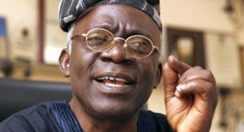 Tompolo’s pipeline contract, a lost of confidence on security Chiefs – Falana