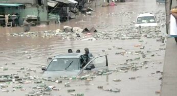 Massive flooding looms in Benue, others as Cameroon set to release water from Lagdo Dam