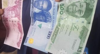 Photos of redesigned naira notes