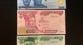 BREAKING: New naira notes finally unveiled (See photos)