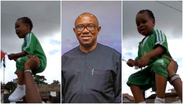 BREAKING: Court asked to disqualify Peter Obi for involving child in rally