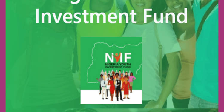 N75bn Youth Fund: Nigerian Youth Investment Fund – Eligible Businesses