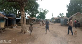 BREAKING: Many feared killed as herdsmen attack Guma in Benue 