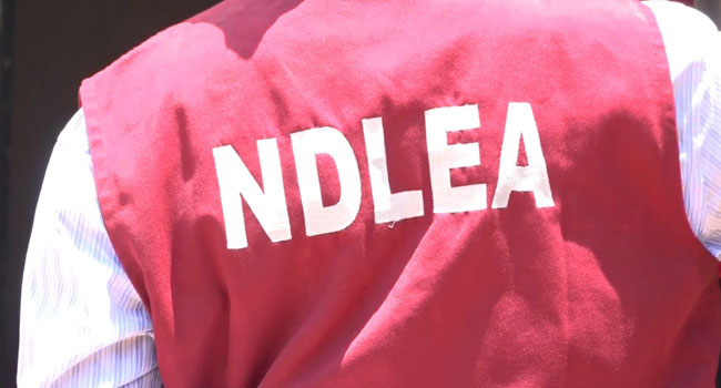 We did not make request to buy sniffer dogs in 2023 budget – NDLEA