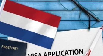 The Netherlands is offering work visas to foreigners and companies are hiring