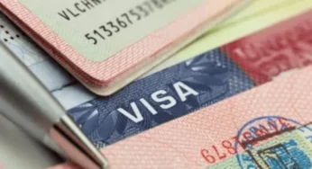 UAE announces two-month visa amnesty for illegal residents, expired visa holders