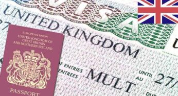 How to apply for UK student Visa with College or University application