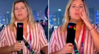 Dominique Metzger: World Cup reporter robbed live on air in Qatar