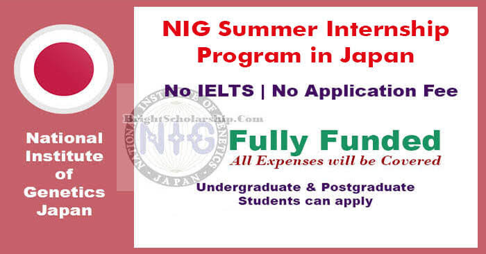 Apply For NIG Summer Internship In Japan 2023