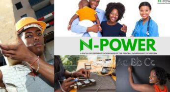 Latest Nasims news on Work Nation for Exit Npower Batch C Beneficiaries, 8th November