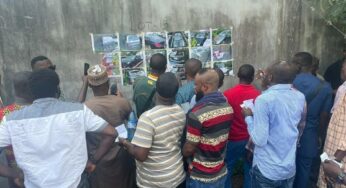 EFCC auctions over 400 cars in Lagos