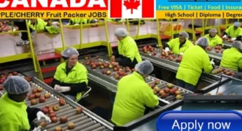 Apply for massive fruit packaging jobs in Canada 2023