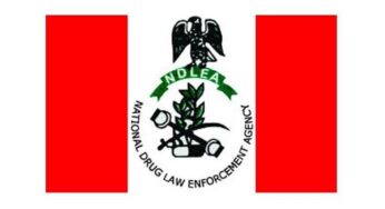 US govt supports NDLEA with forensic, intelligence, prosecution tools