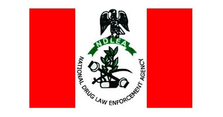 US govt supports NDLEA with forensic, intelligence, prosecution tools